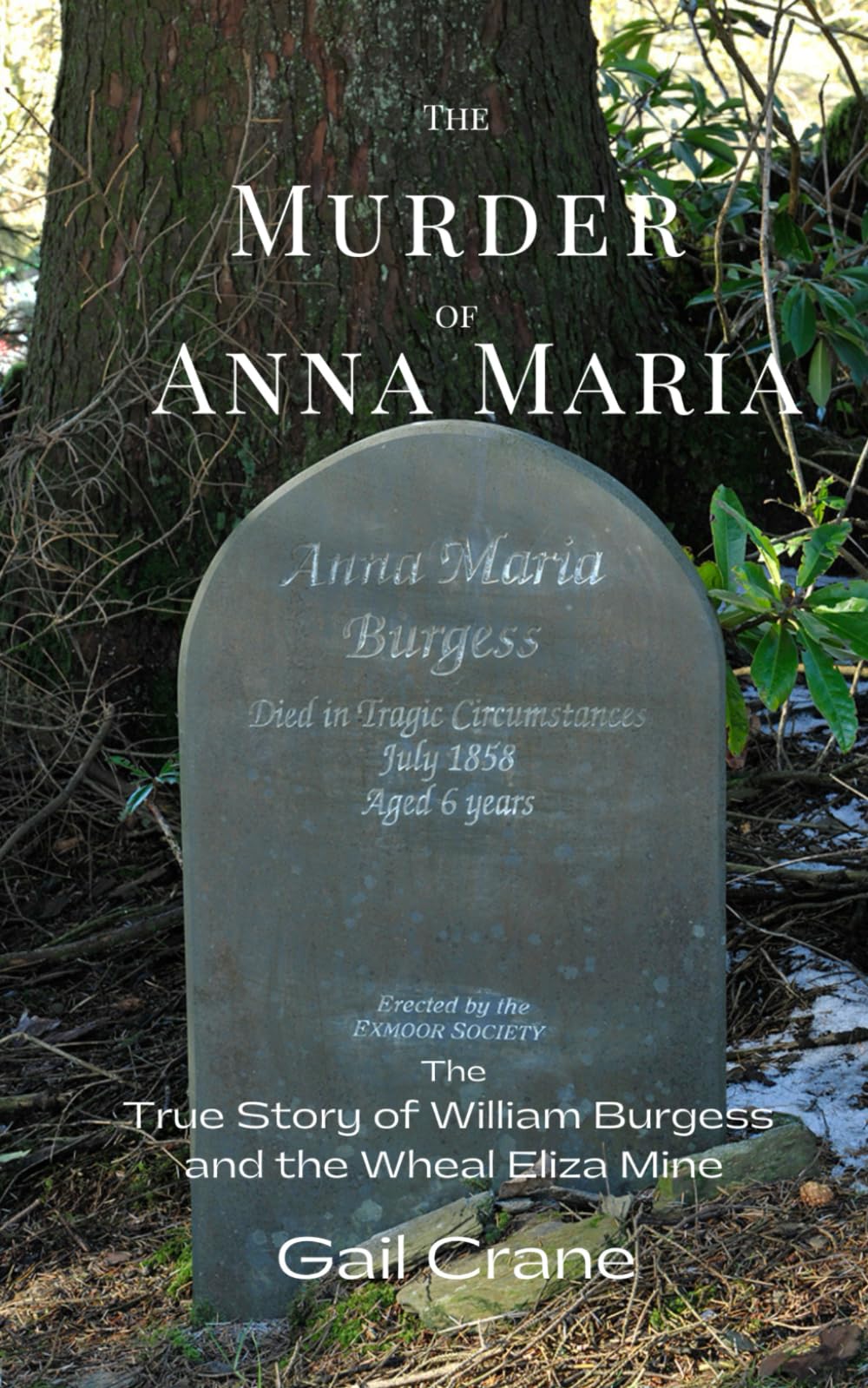 The Murder of Anna Maria: The True Story of William Burgess and the Wheal Eliza Mine.