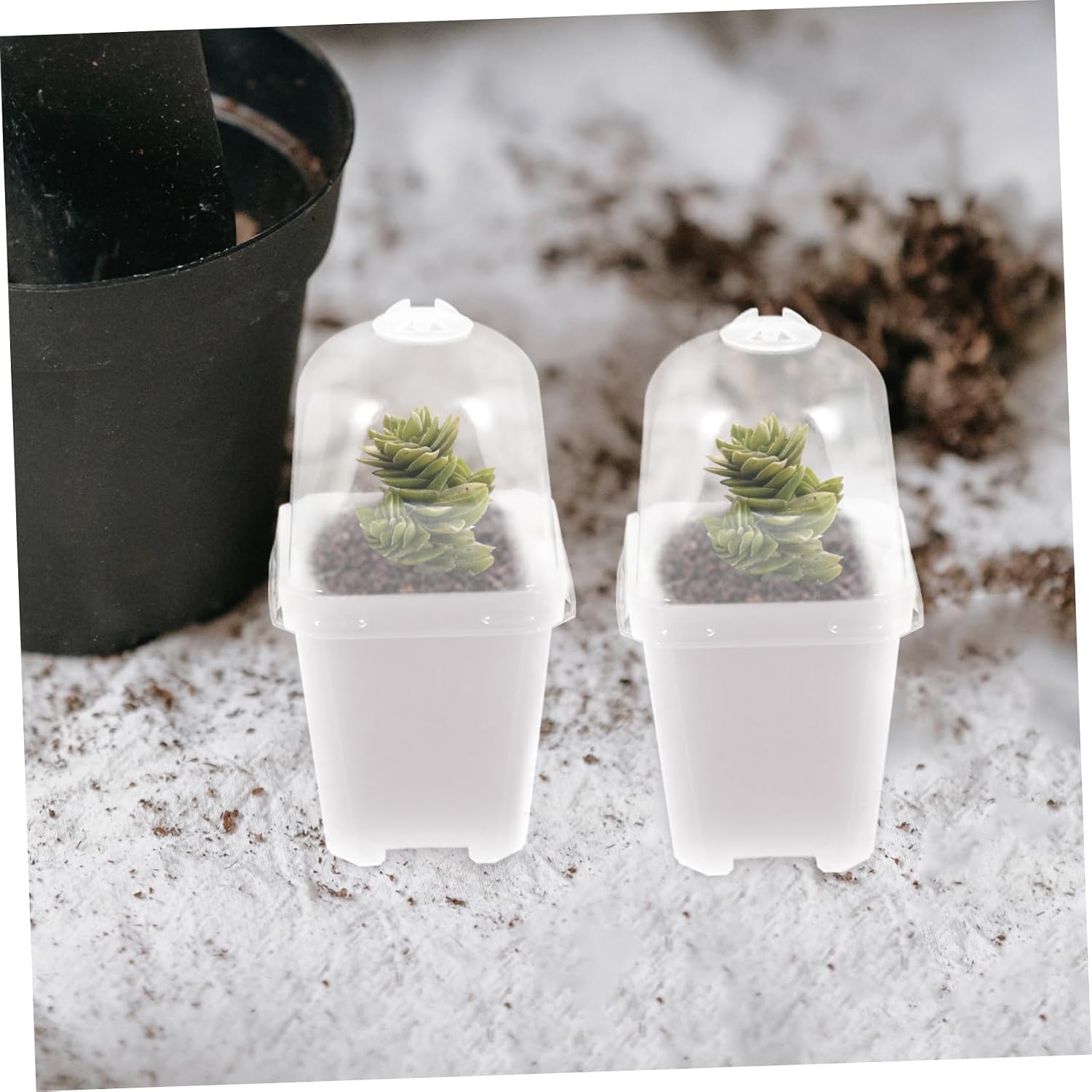 20sets Clear Plant Nursery Cups with Lid Control Flower Pots for Planter Containers for Gardening for Flowers