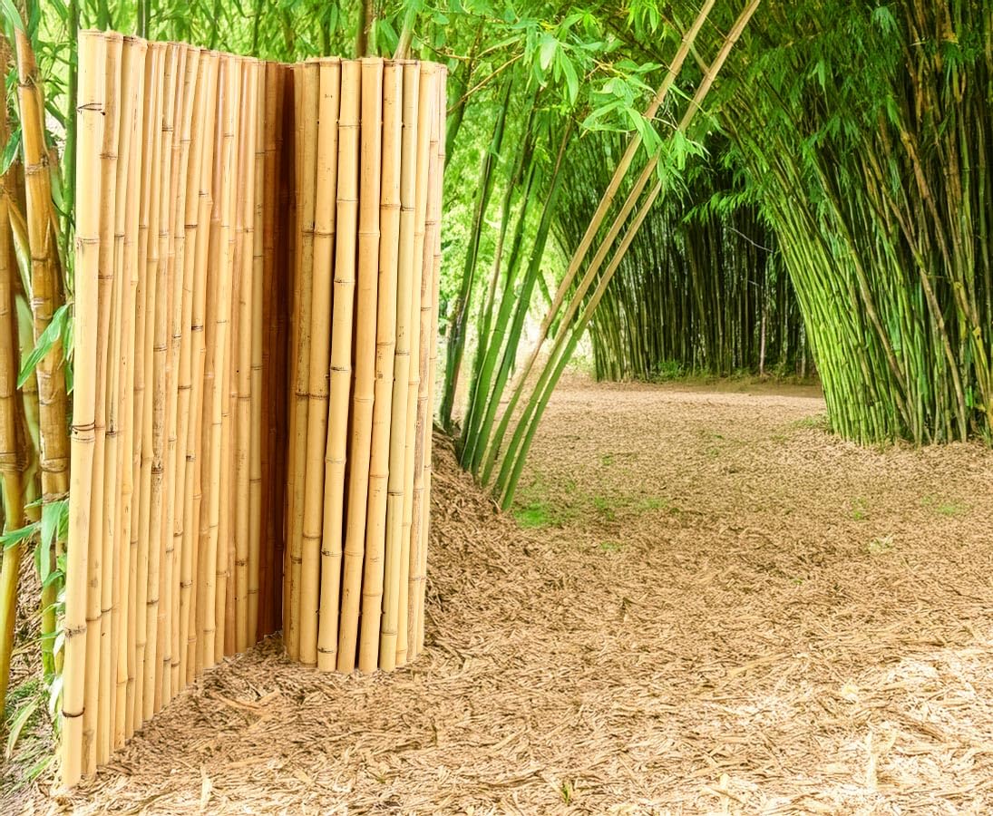 bambus-discount.com Mata bambusowa Bali Heavy 100 x 250 cm, zwijane ogrodzenie z rur bambusowych, 1 m x 2,5 m