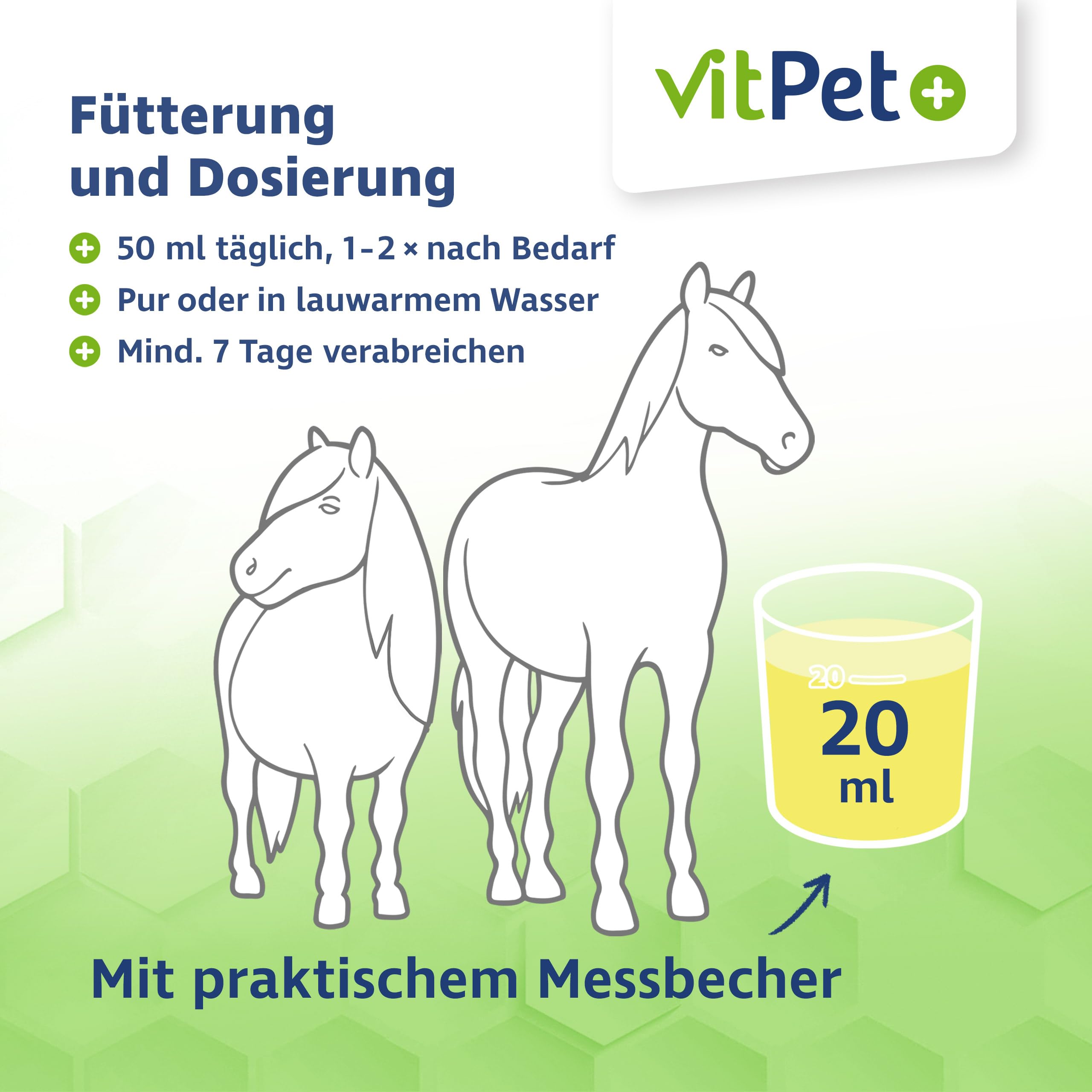 PneumoCare – Hustensaft für Pferde – 1000 ml – Bei Husten Pferd – Schleimlösend und beruhigend – Mit Eukalyptus, Thymian und Olivenblattextrakt – Unterstützt Bronchien und Immunsystem