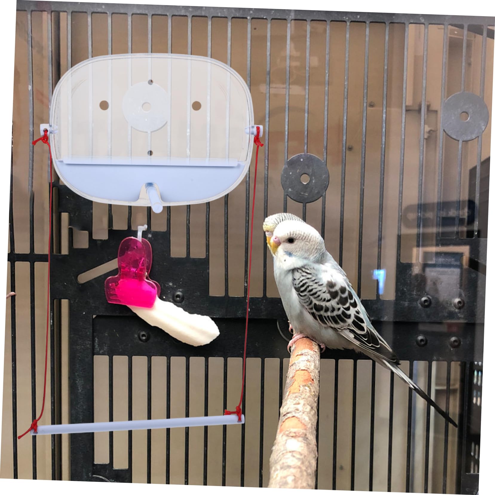 BESPORTBLE 4 Juegos Comedero para Pájaros Comedero para Jaula De Pájaros Ventosa del del Colibrí De La Ventana De Agua para para Loros con Lechón PD