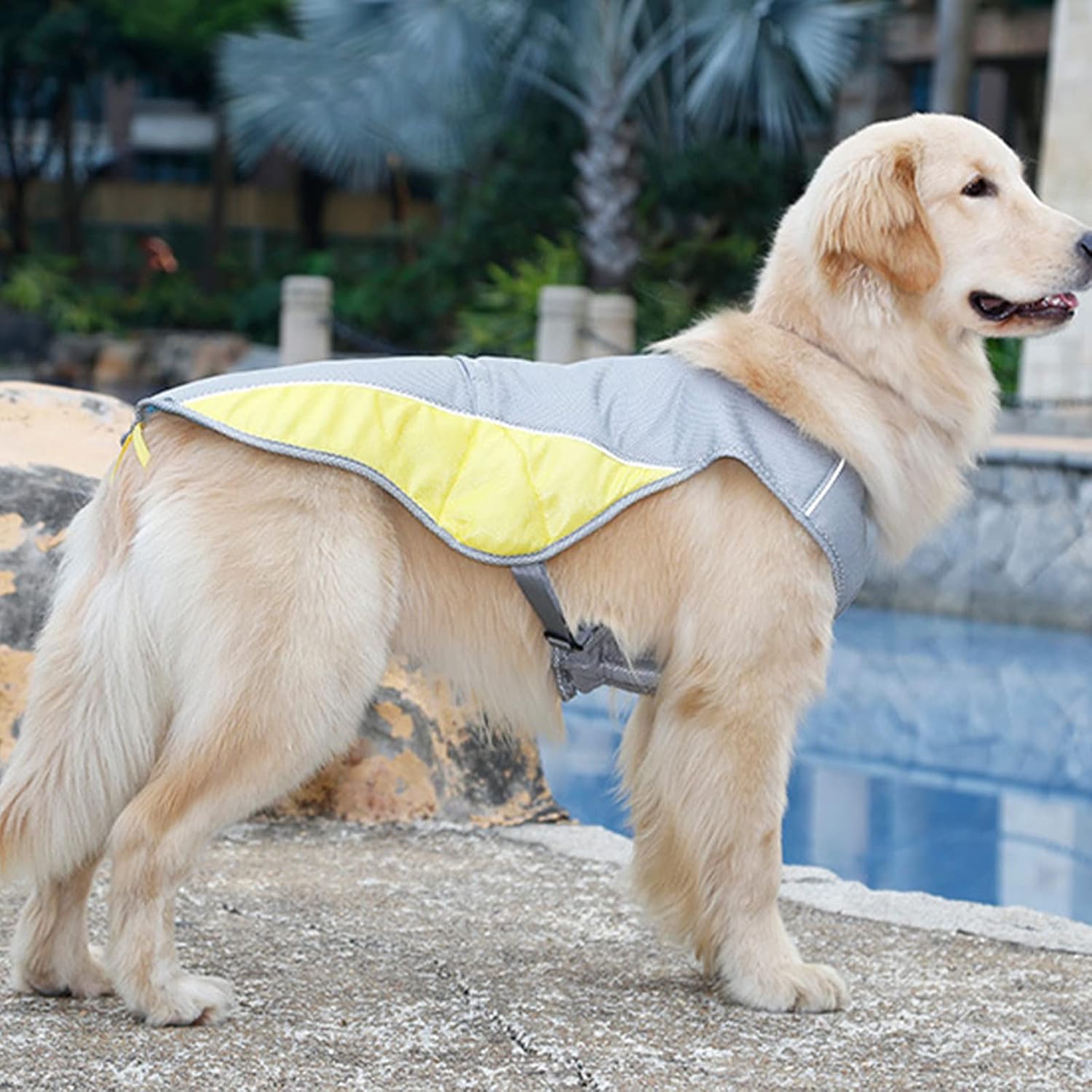 Dog Cooling Vest Harness Evaporation Cooler Coat UV Protection Dog Cooling Jacket for Summer Outdoor Hiking Walking and Camping for Small Medium Large Dogs