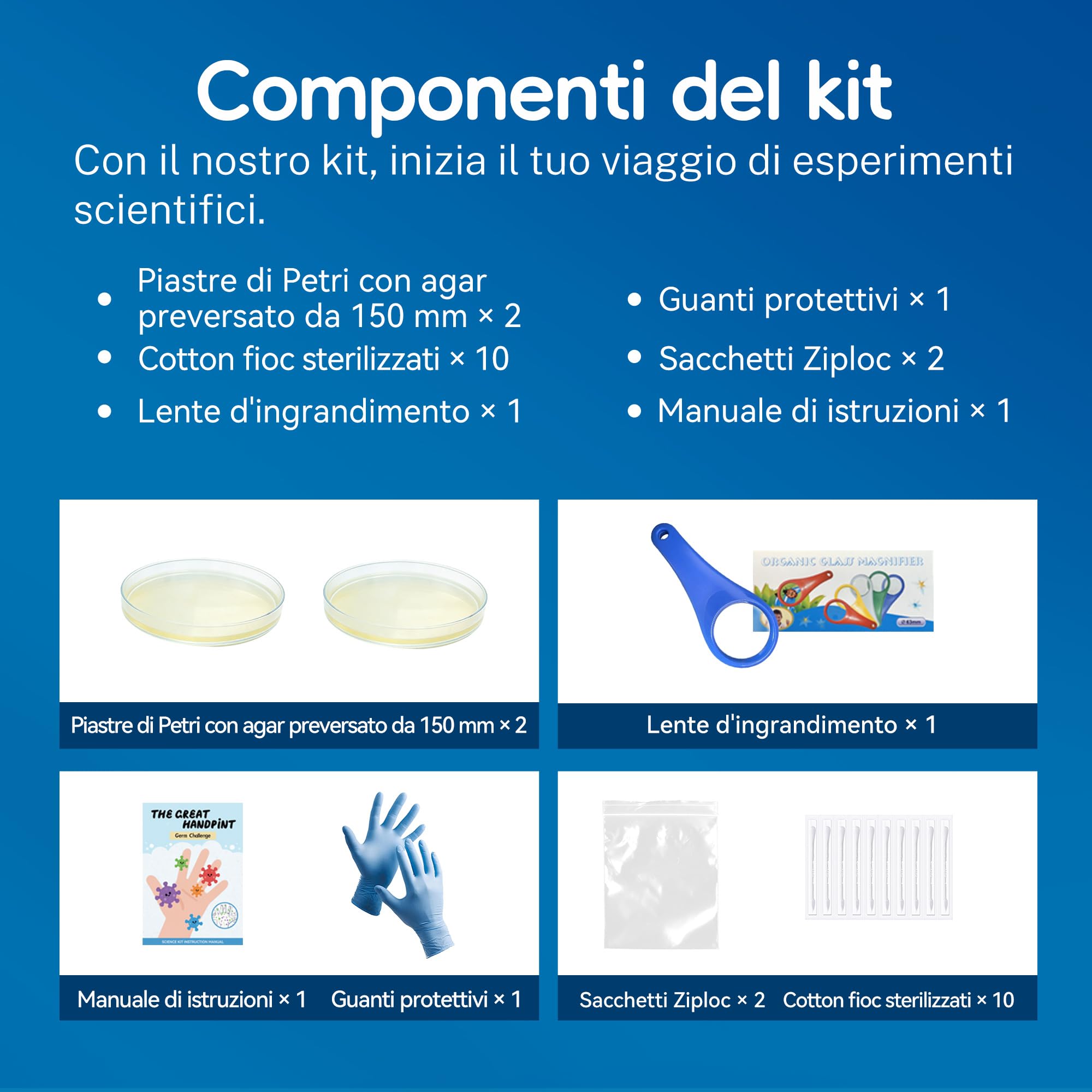 Kit per impronte di batteri per bambini, 2 piastre giganti di agar Petri pre-versate da 150 mm, progetto scientifico per esperimenti di microbiologia, con lente d'ingrandimento e tamponi sterili