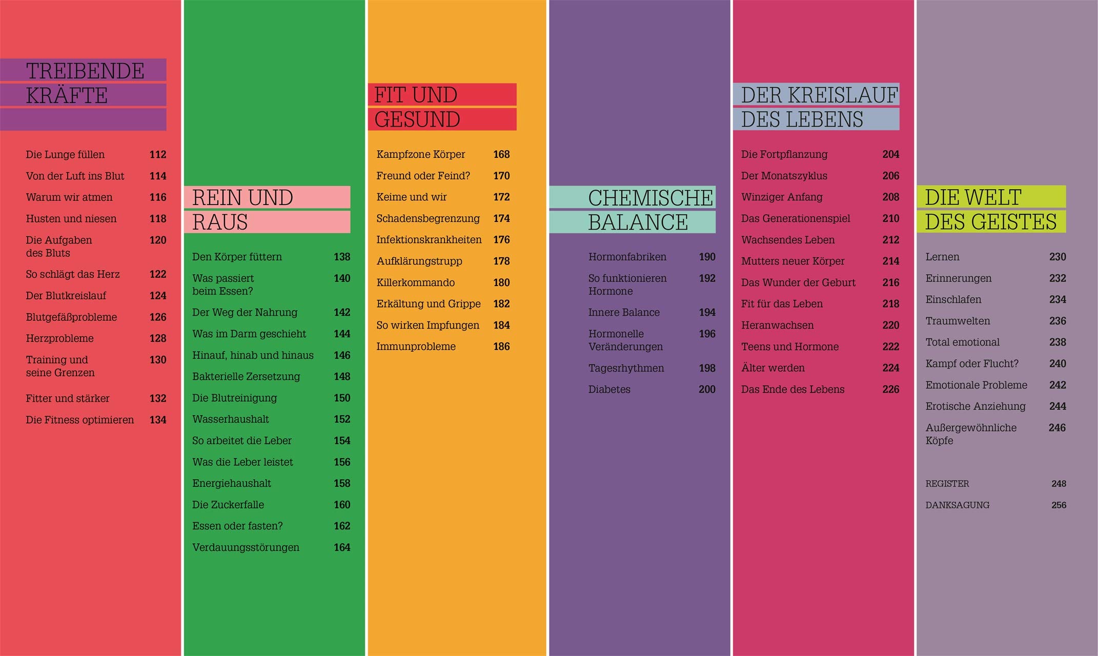 #dkinfografik. Der menschliche Körper: Und wie er funktioniert