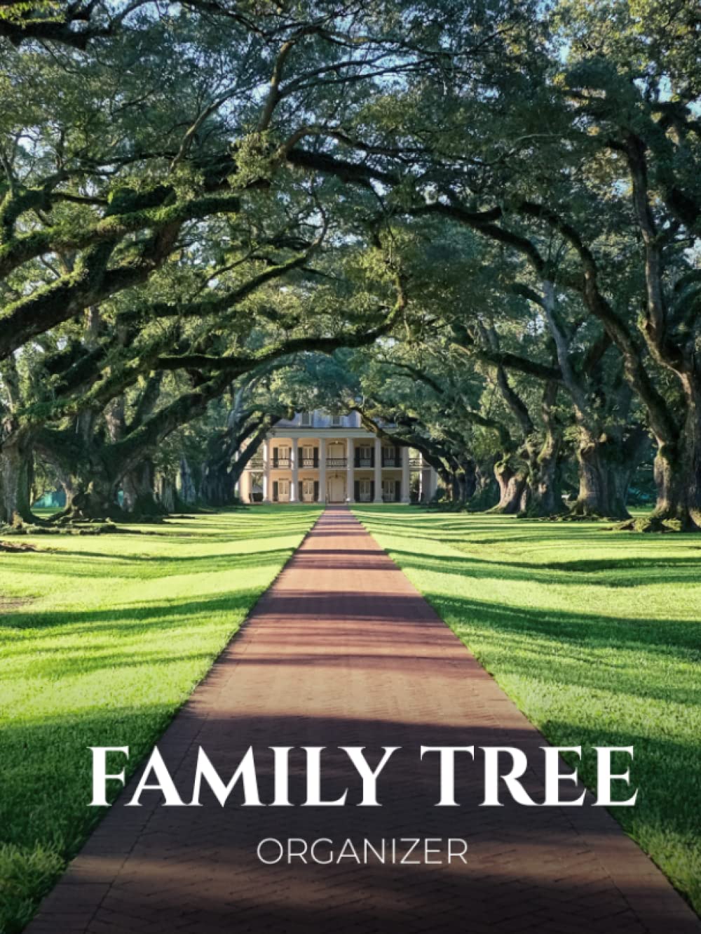 Family Tree Organizer - A Genealogy Notebook With Genealogy Charts And Ancestors’ Profiles and Timelines.