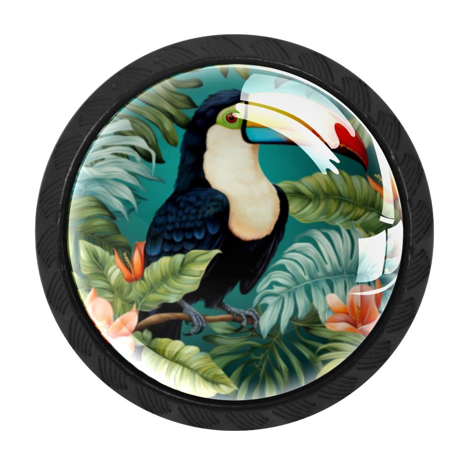 CHENZZZZ Toucan Colorful Drawer Pulls 4 Pcs Handle Glass Door Cabinet Knobs Home Office Kitchen Wardrobe Cupboard Hardware for Dresser Drawers