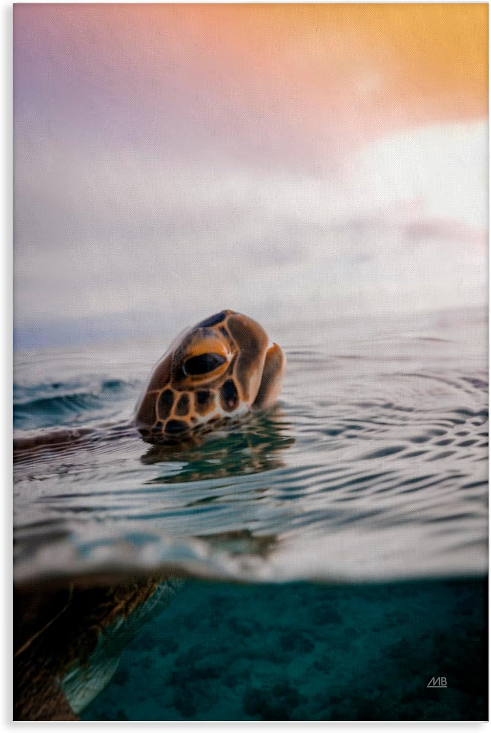 Stupell Industries Turtle Swim at Sunrise Canvas Wall Art Design by Max Blakesberg Studios, 16 x 24