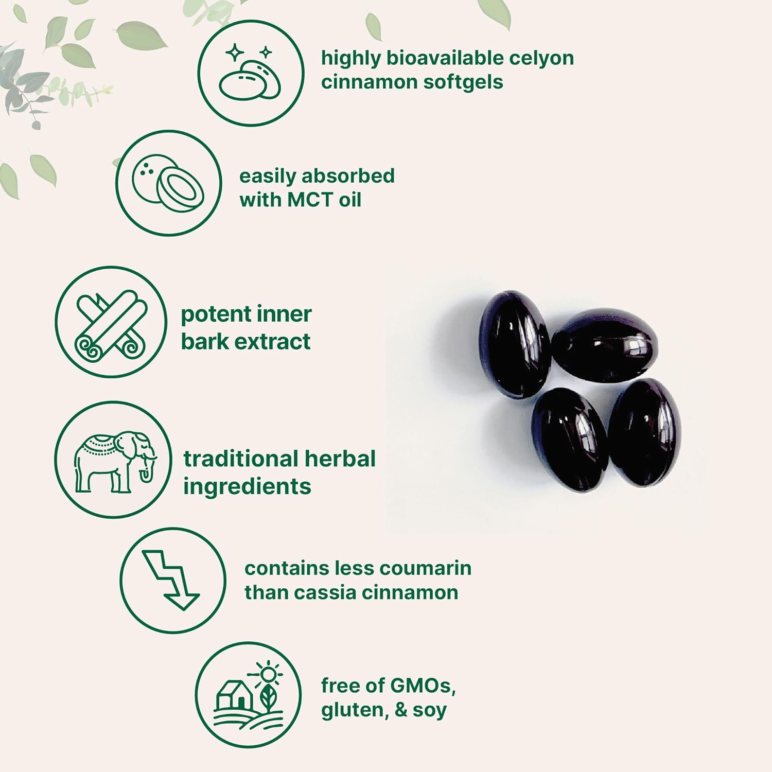 Micro Ingredients Ceylon Cinnamon | 300 Softgels with MCT Oil | Highly Bioavailable Herbal Extract | Extra Strength Cinnamon Supplements | Antioxidant & Sugar Monitor Support | Non-GMO, Gluten Free - Image 3