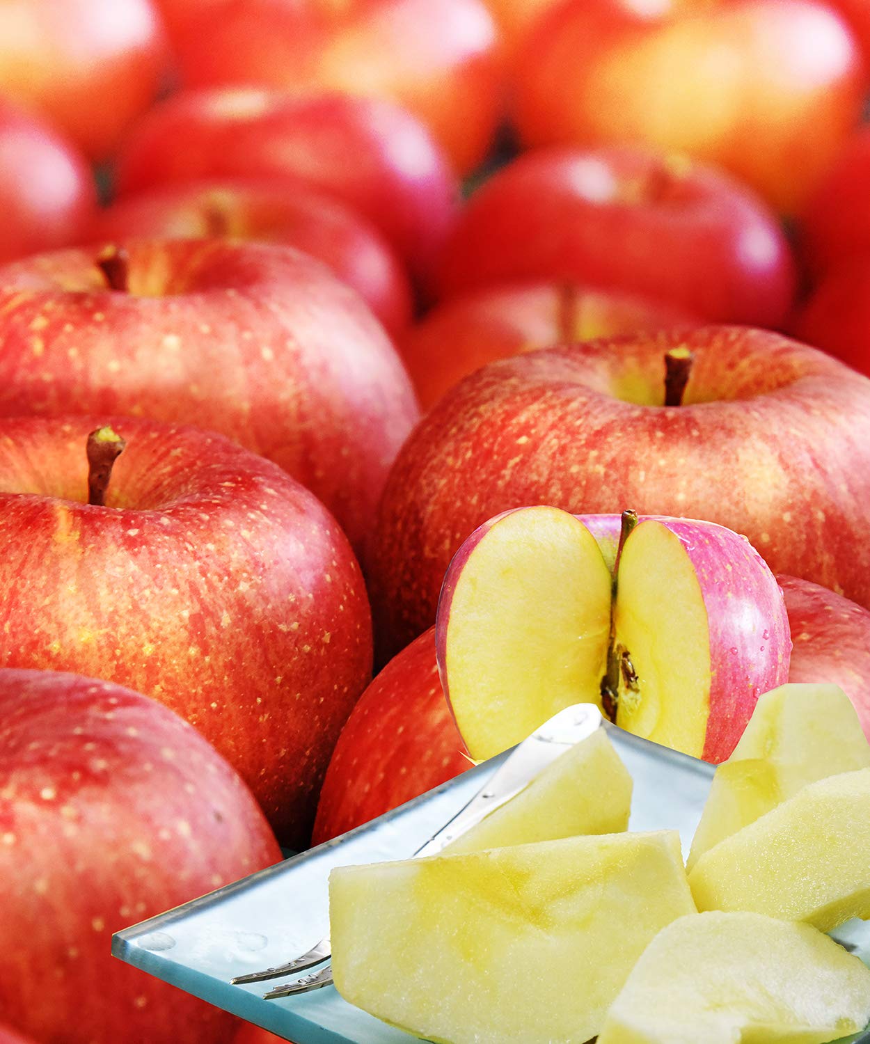 グルメ＆ギフトお取り寄せ山形eLab 山形県産 秀品 完熟 サンふじりんご