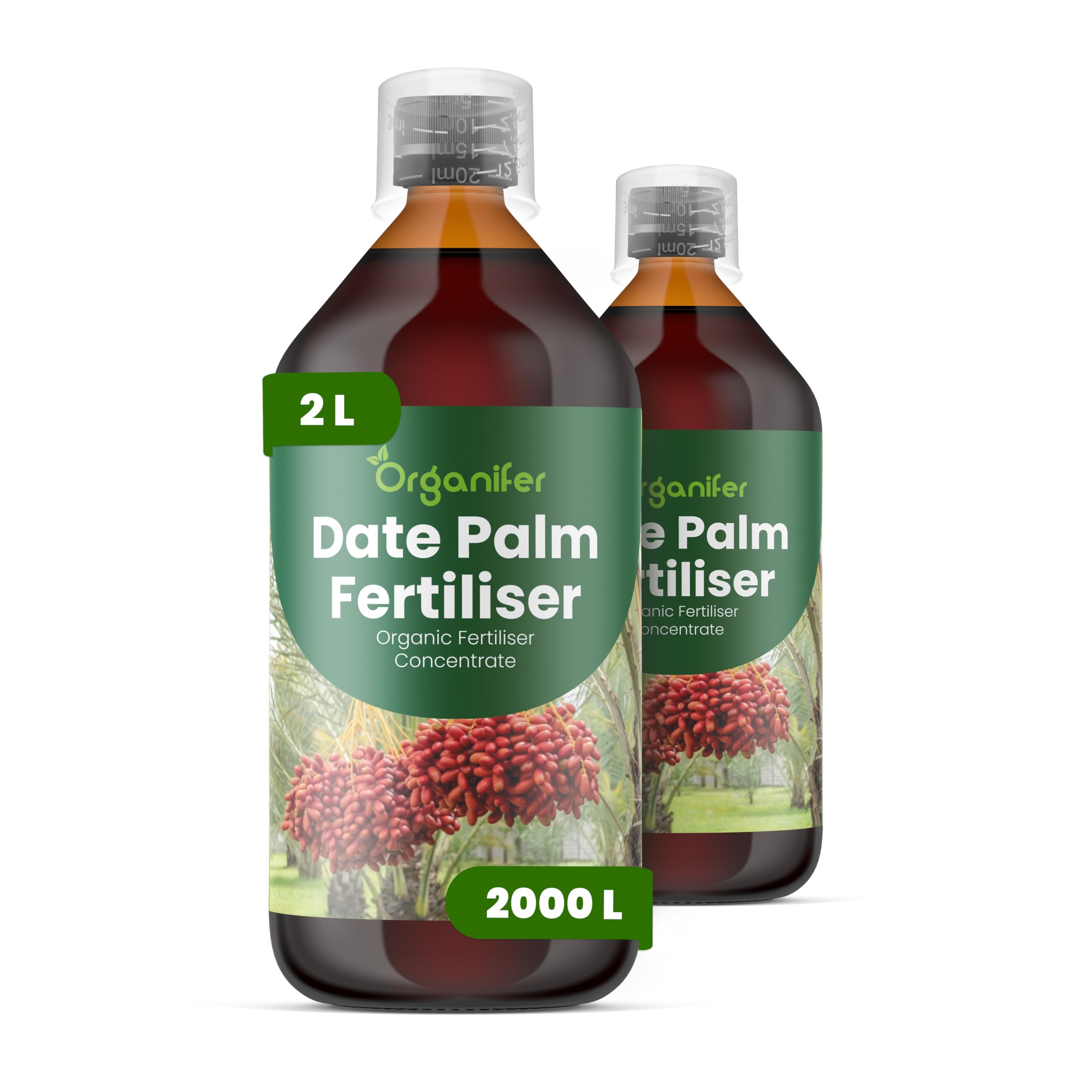 Engrais liquide organique 2x1L pour palmier dattier – plantes saines et floraison stable – Organifer