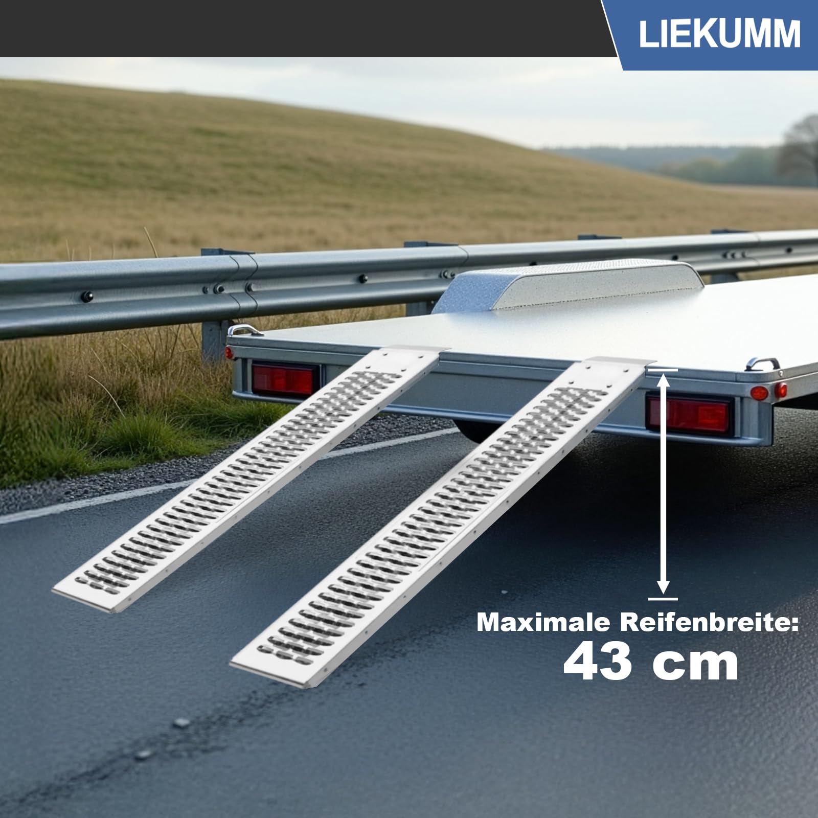 LIEKUMM 2 rampe di carico da 153 x 22,5 cm, portata 440 kg, per moto | Rampa di carico in acciaio per rimorchi, auto, garage, moto elettriche, ATV, officina, magazzino, moto