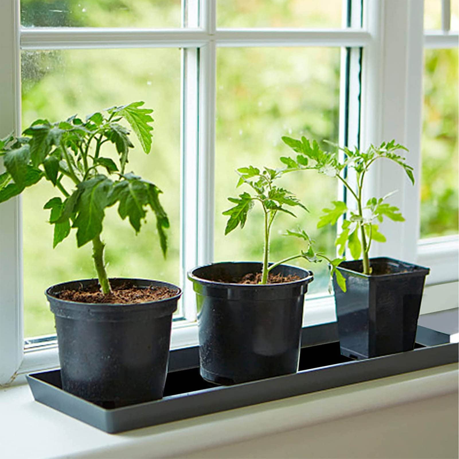 Tappetino per Irrigazione delle Piante, Tappetino in Feltro Capillare con Irrigazione Automatica, Spessore 3 Mm, 1,2X1 M, per Piante in Vaso Idroponiche