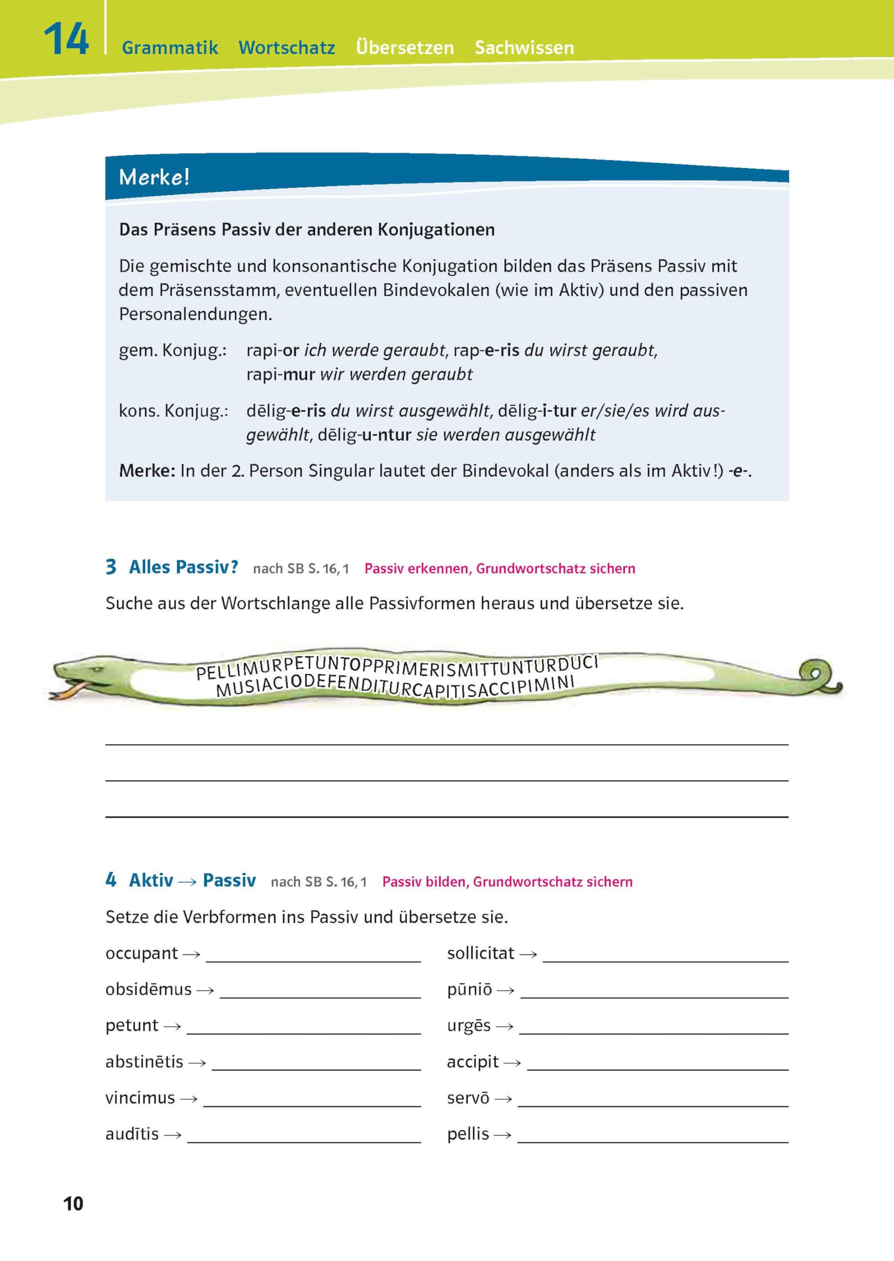 Pontes 2 - Das Trainingsbuch zum Schulbuch: 2. Lernjahr (Pontes. Ausgabe ab 2014)