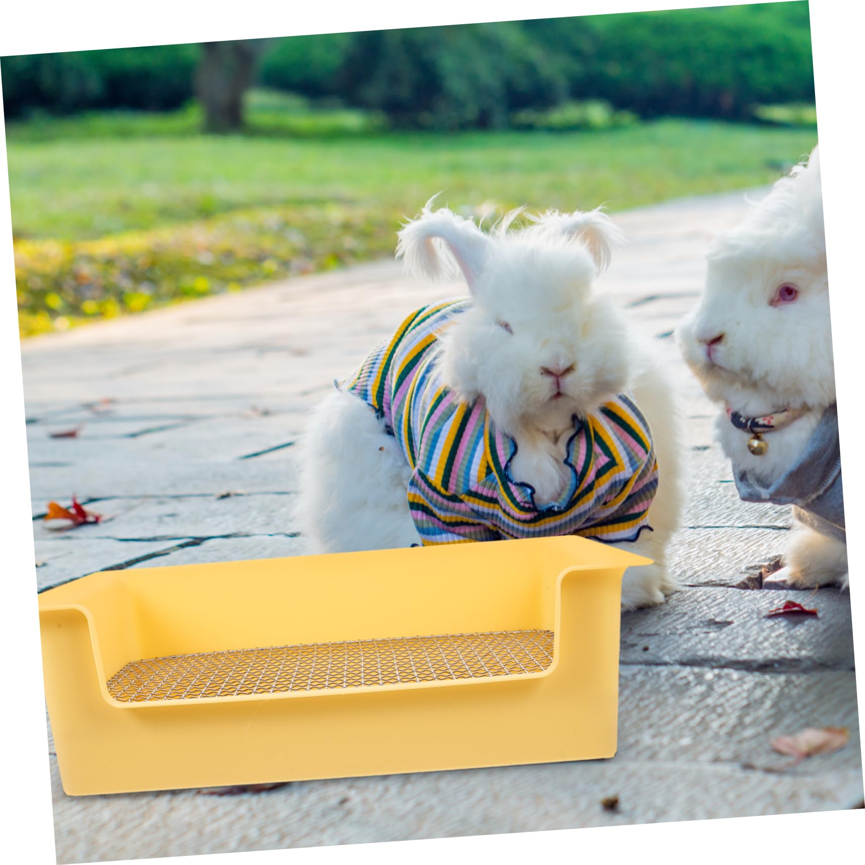 Abaodam Lettiera Per Conigli e Piccoli Animali Vasino Per Criceti Porcellini D'india e Cincillà in Pp Toilette Riutilizzabile Per Addestramento Accessorio Per Gabbie e Casa Design Pratico e Resistente