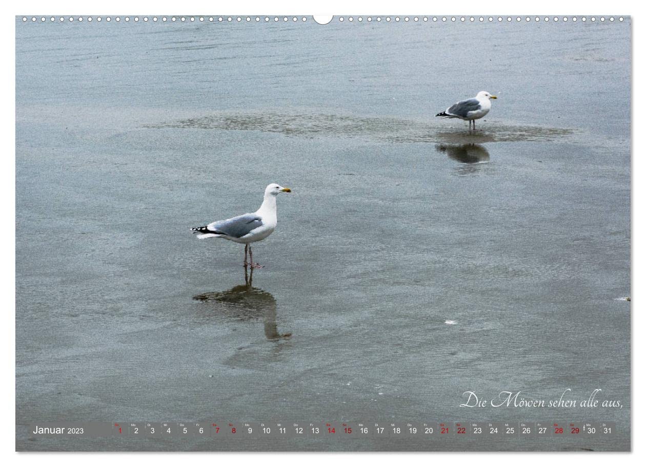 Möwenlied von Christian Morgenstern by fru.ch (Wandkalender 2023 DIN A2 quer): Bilder zu einem Gedicht (Monatskalender, 14 Seiten ) (CALVENDO Tiere)