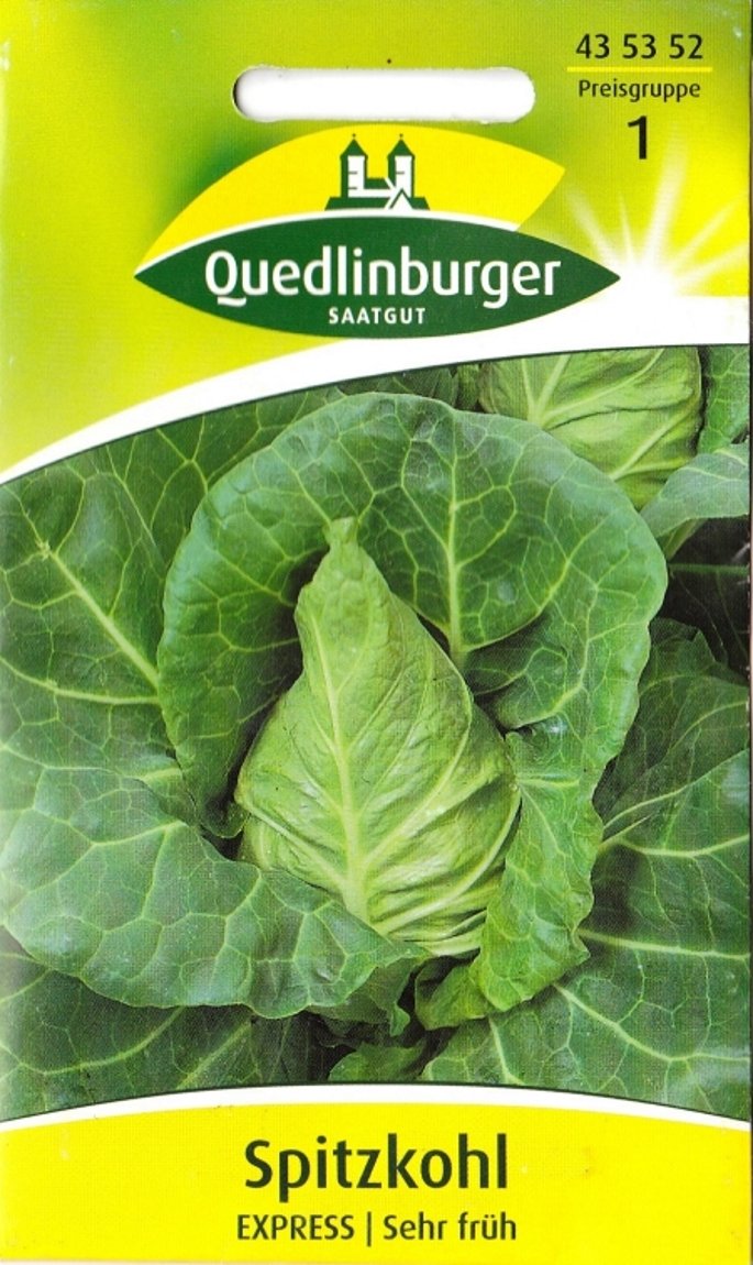 Roter Spitzkohl (Brassica Oleracea) – 100 Samen, Bio, Samenfest, Für Salat & Rohkost