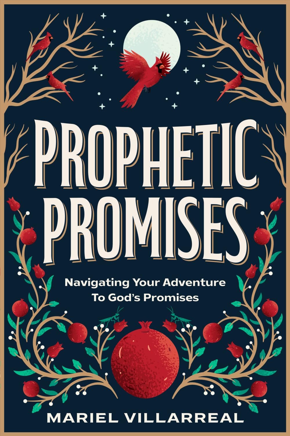 Prophetic Promises: Navigating Your Adventure to God's Promises