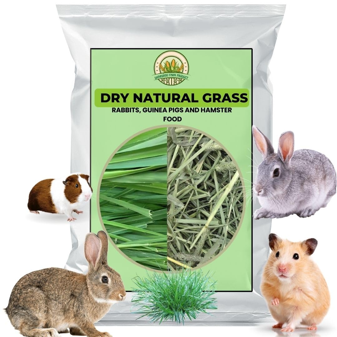 150 Grams | Dry Grass PET Food | Essential Nutrients & High Fibre Content | Sun Dried Grass for Rabbit, Hamsters, Lactating Guinea Pigs (B0D91T5BT4) Amazon Price History, Amazon Price Tracker