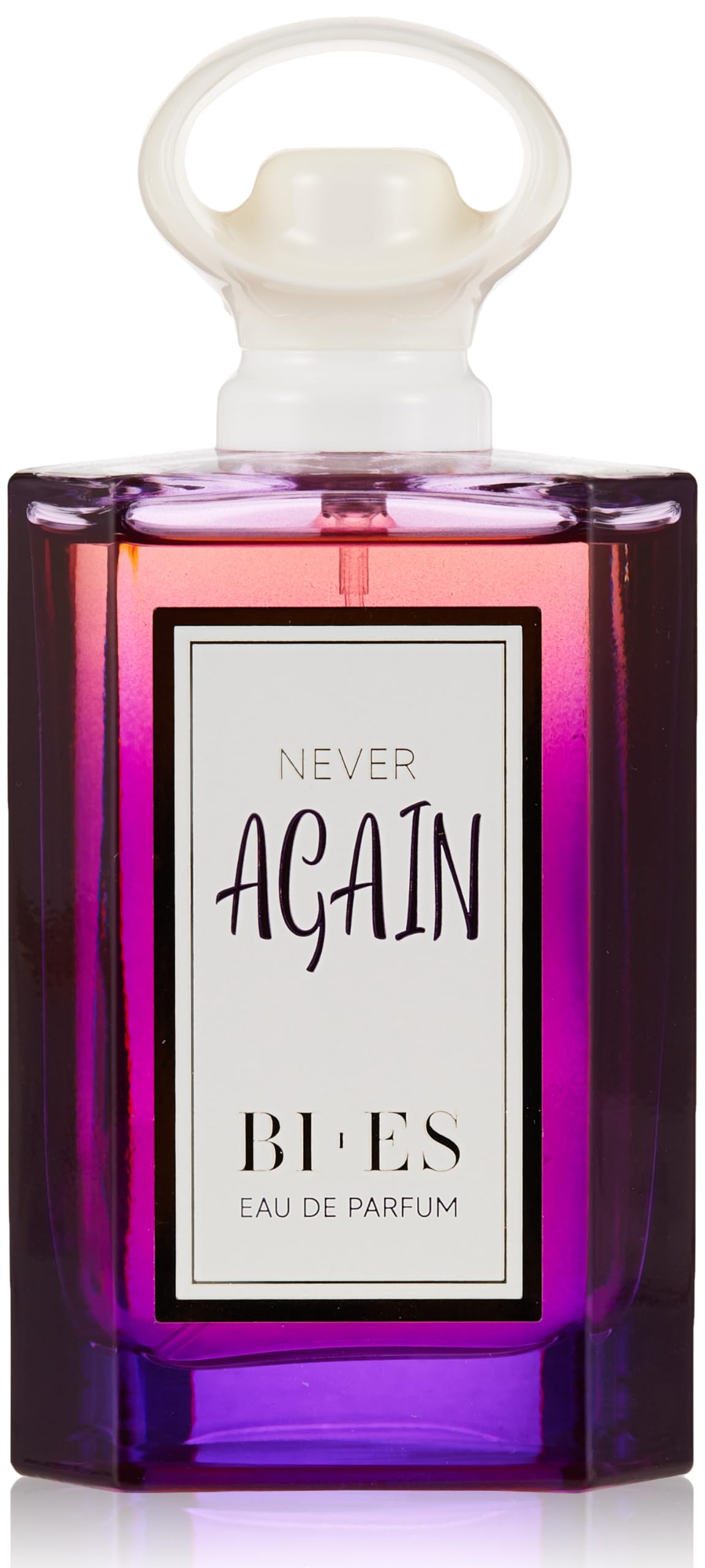 BI-ES Never Again Eau de Parfum Spray for Women 100 ml