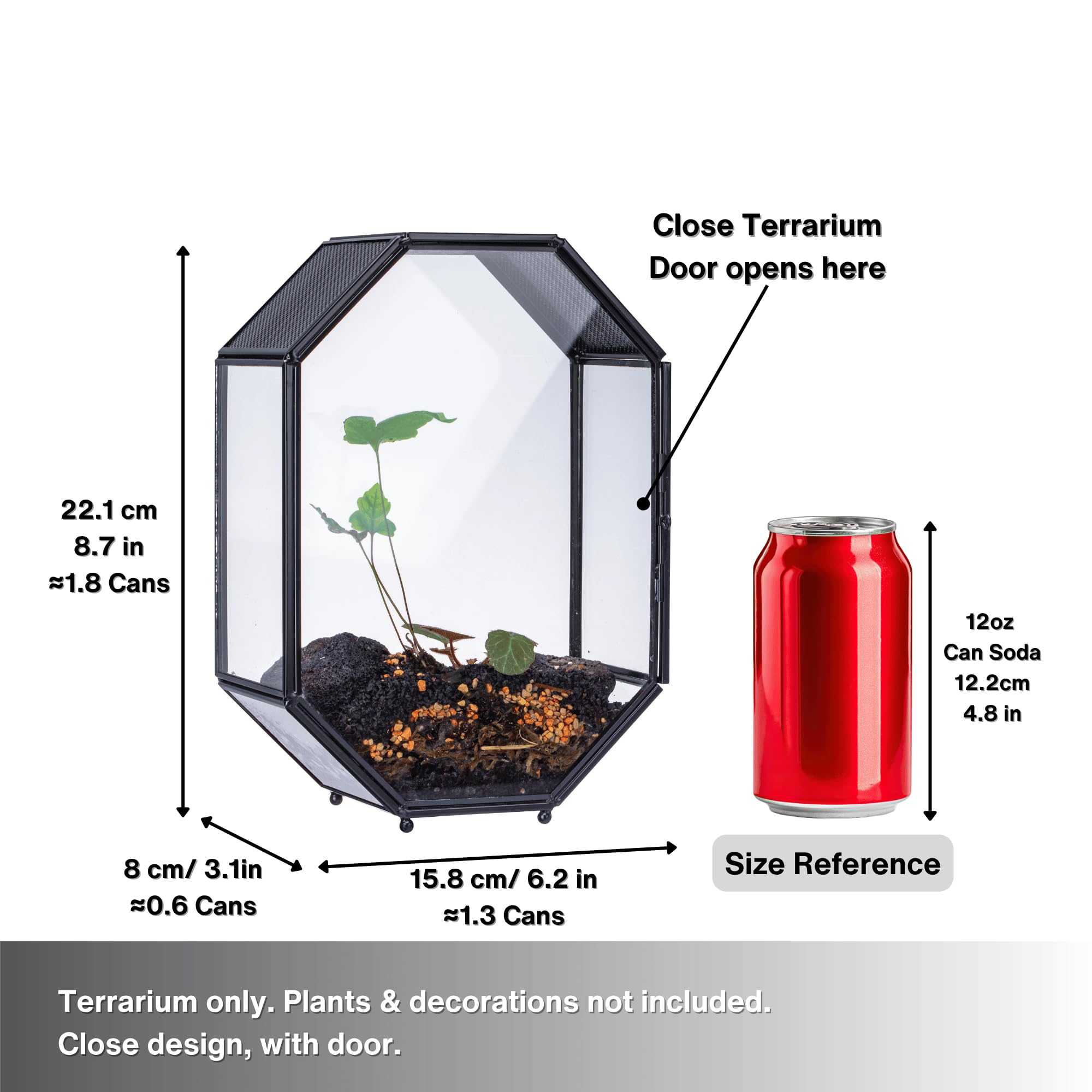 NCYP 15,8x8x22,1 cm Octogonale Terrarium en Verre avec Maille et Porte pour Araignées, Insectes, Petites Plantes (Plantes et Accessoires Non Inclus)