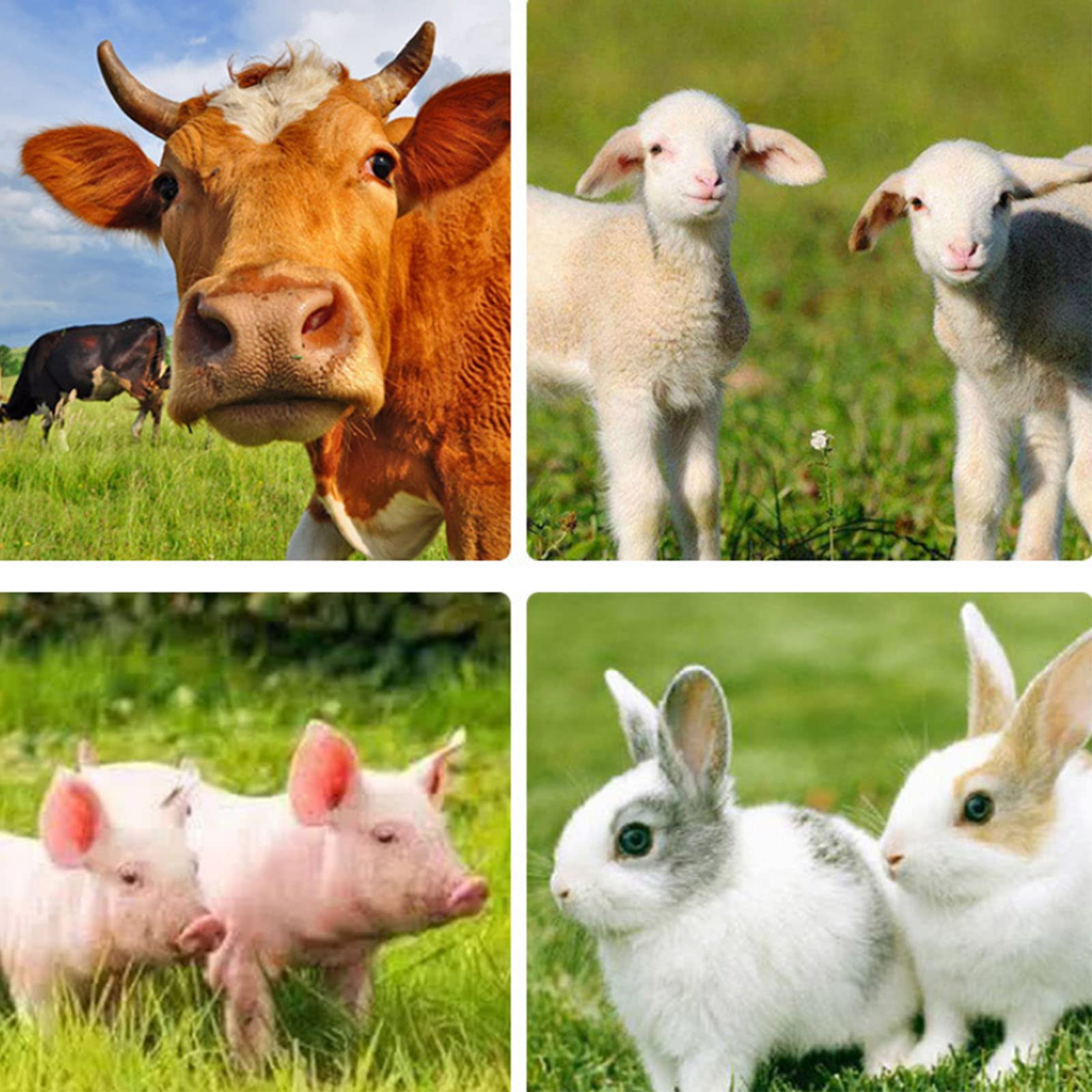 Dispensador de Medicina Continua Veterinaria, Dispositivo de dosificación automática Ajustable de 30 ML con Manguera para Ganado, ovejas, Cabras, Cerdos, Mascotas, alimentación de Animales y Uso