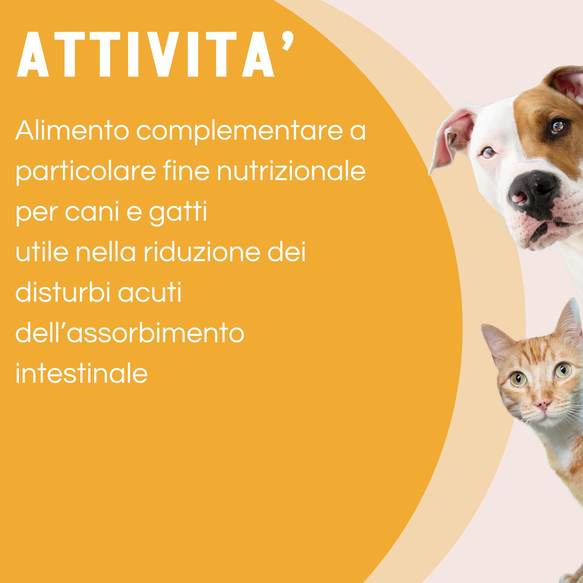 Entero Diar - Alimento Complementare a particolare fine nutrizionale per Cani e Gatti - Supporto Intestinale - Pasta Appetibile - Ideale per Recupero e Convalescenza