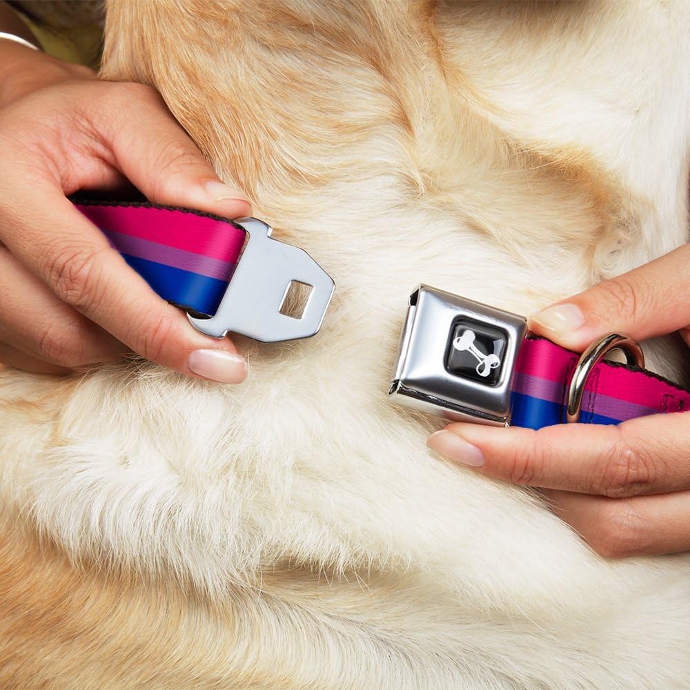 Buckle-Down Dog Collar Seatbelt Buckle Flag Bisexual Pink Purple Blue, Multicolor, 1.5" Wide - Fits 16-23" Neck - Medium (DC-W30684-WM)