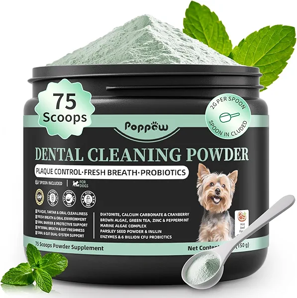 POPPAW Dog Dental Powder – Teeth Cleaning Powder with 6B CFU Probiotics, Enzymes & Antioxidants, Plaque & Tartar Off, Fresh Breath Support, No Brushing Oral Care, Mint Beef Flavor, 75 Servings