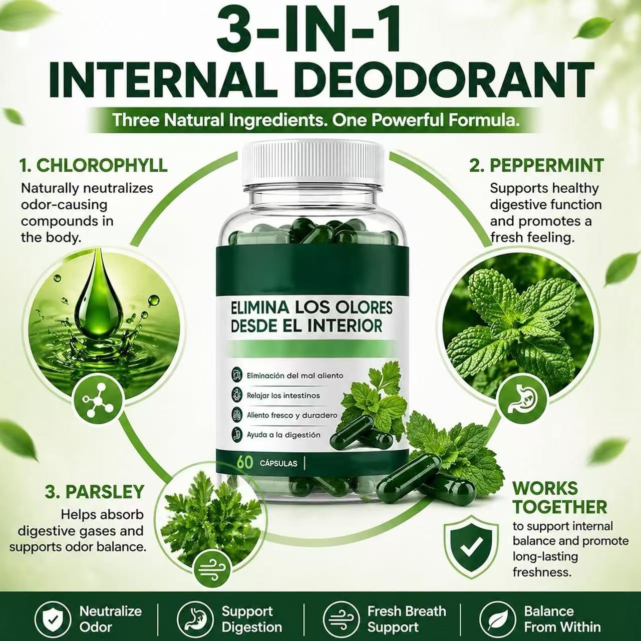 Gélules pour une haleine naturellement fraîche à base de chlorophylle, de menthe poivrée et de persil : éliminent la mauvaise haleine de l'intérieur, favorisent la santé intestinale,1pcs