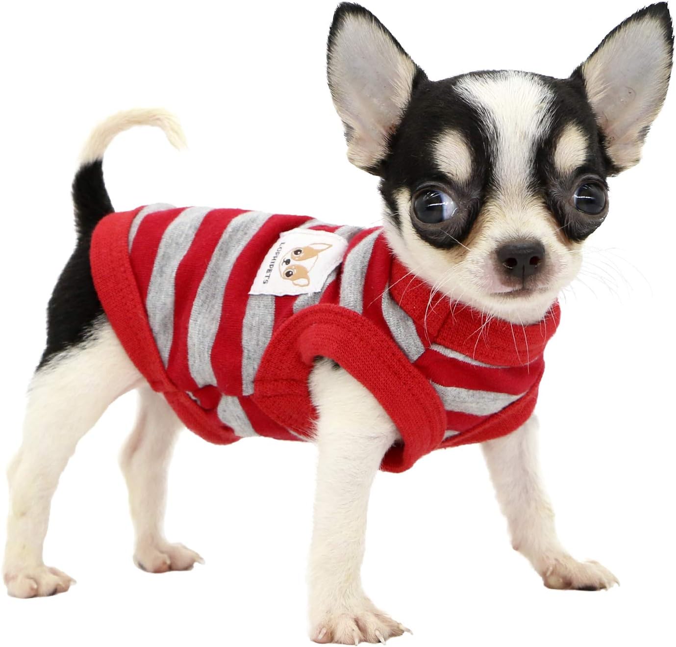 LOPHIPETS100% Cotton Striped Dog Shirts for Small Dogs Chihuahua Puppy Clothes Tank Vest-Red and Gray Strips/XXS