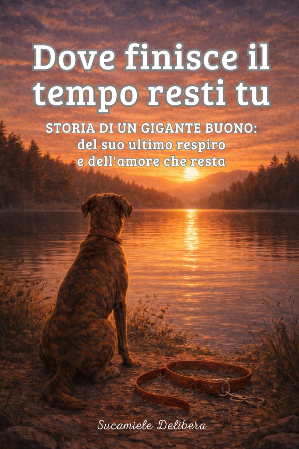 Dove finisce il tempo, resti tu: Thor: un gigante buono, il suo ultimo respiro e l'amore che resta