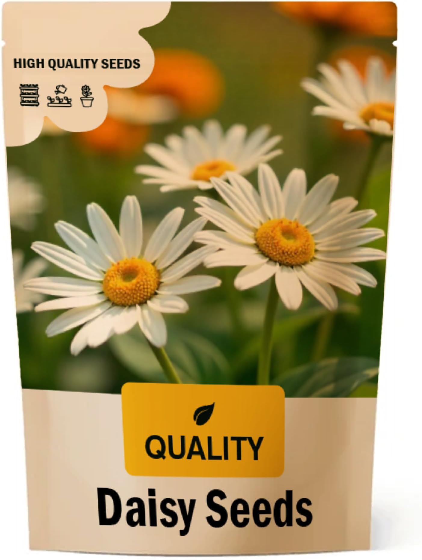 Daisy Flower Seeds for Planting | Best for Grow in Summer