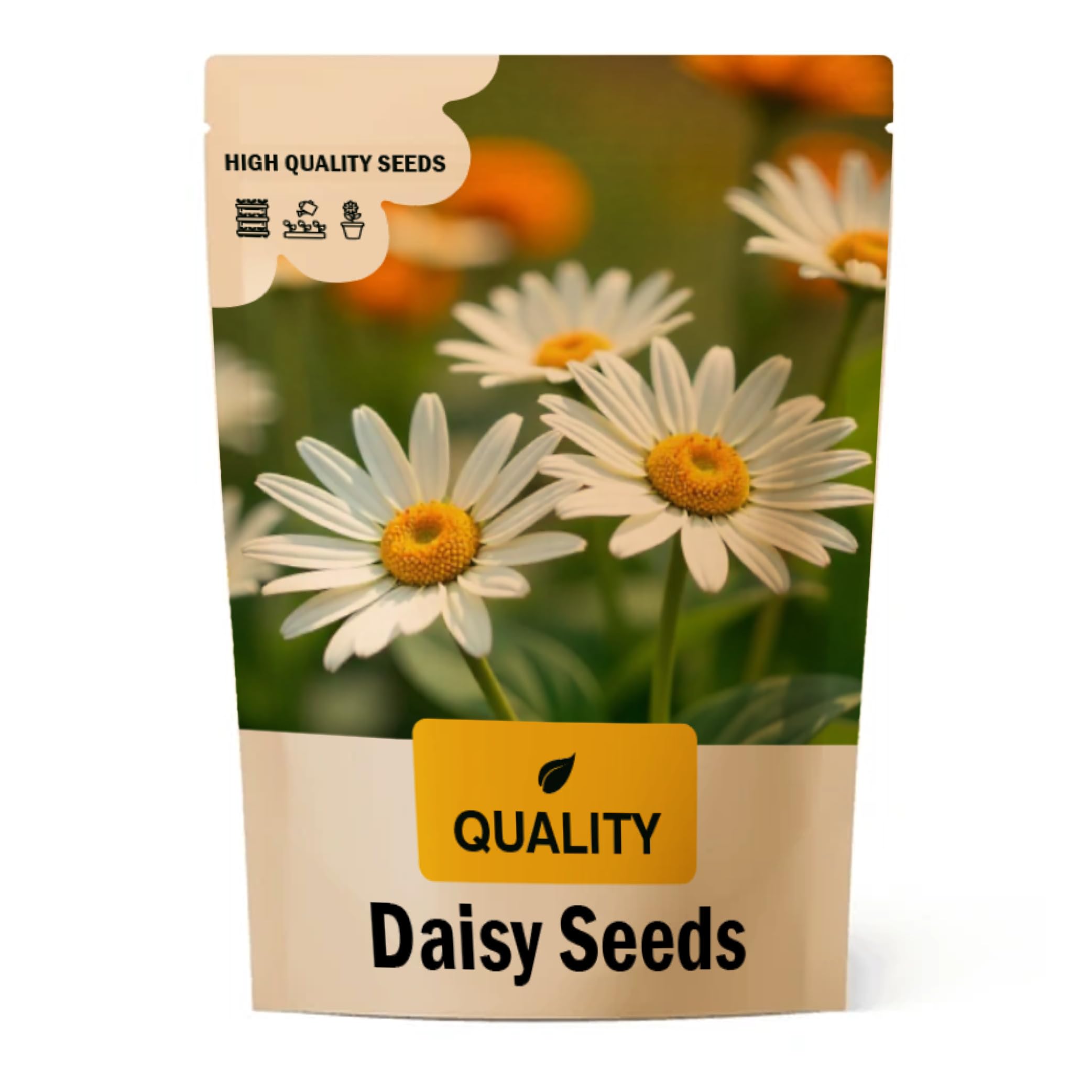 Daisy Flower Seeds for Planting | Best for Grow in Summer
