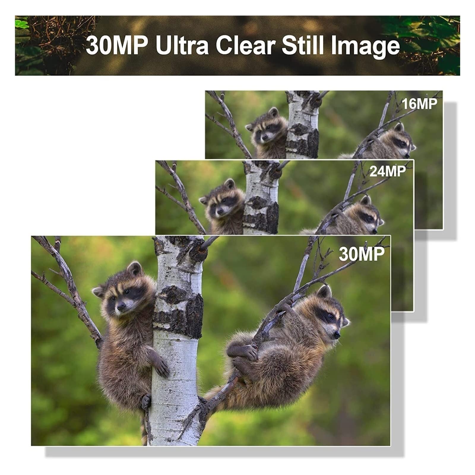 4K Camera de Chasse Nocturne 50MP Camera Chasse Infrarouge Vision