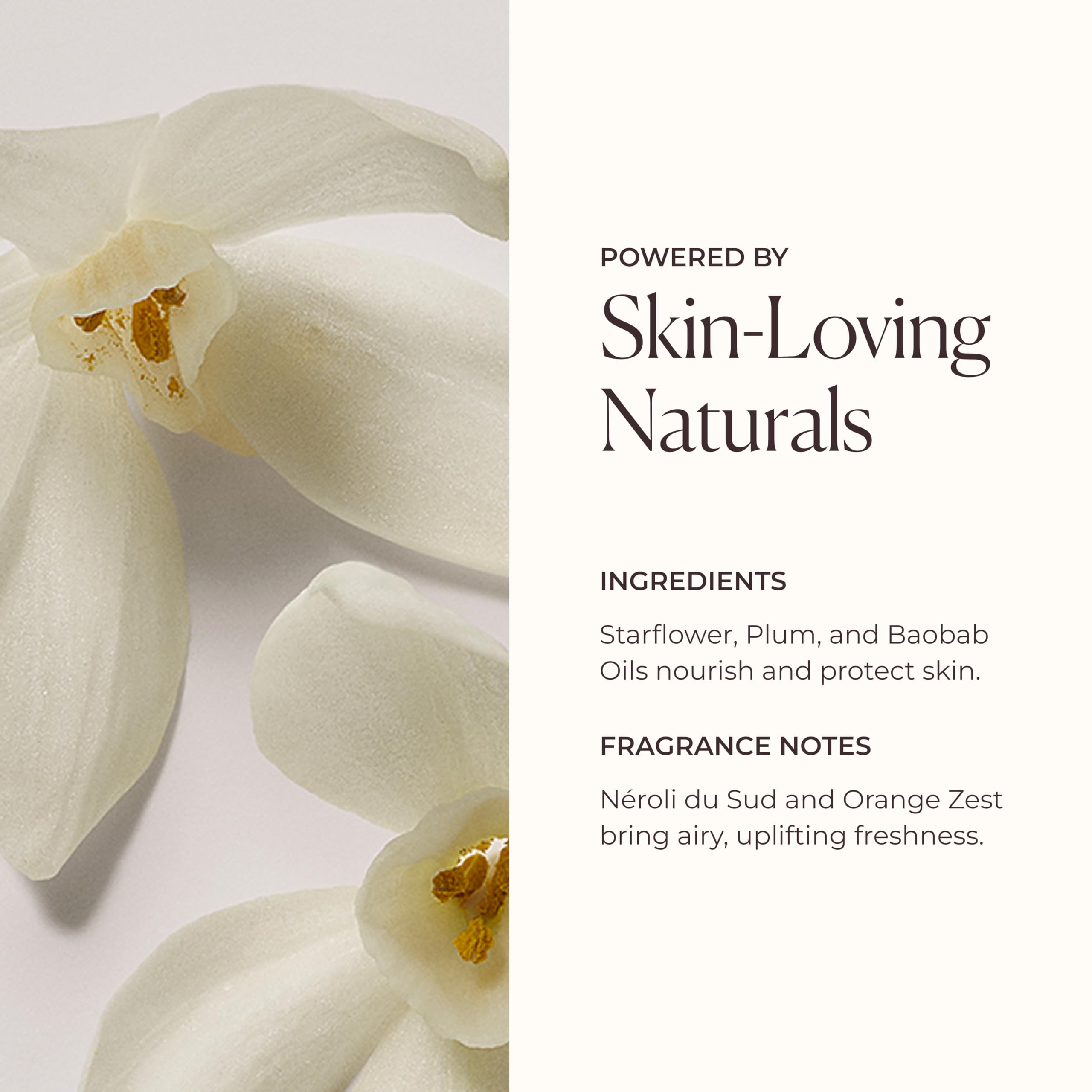 Laura Mercier Aromatisches Bade- & Körperöl - 48 Std. Feuchtigkeit, glättet, macht die Haut weich und strahlend, luxuriös, 100ml