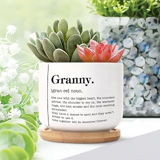 Granny Funny Definition Small Planters Ceramic Set of 2 Granny Definition Family Word Quote Ceramic Planters for Indoor Plants with Drainage Typography Post Print Succulent Pot