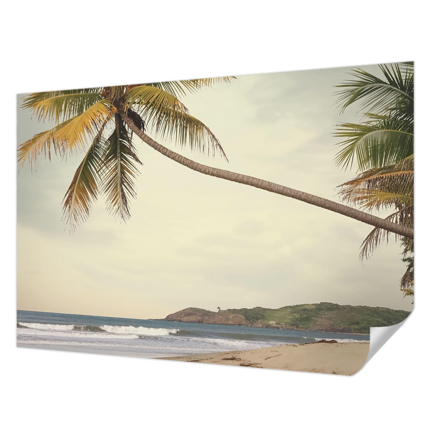 Fotomural autoadhesivo resistente a manchas 152x104 paisaje tropical para salón moderno