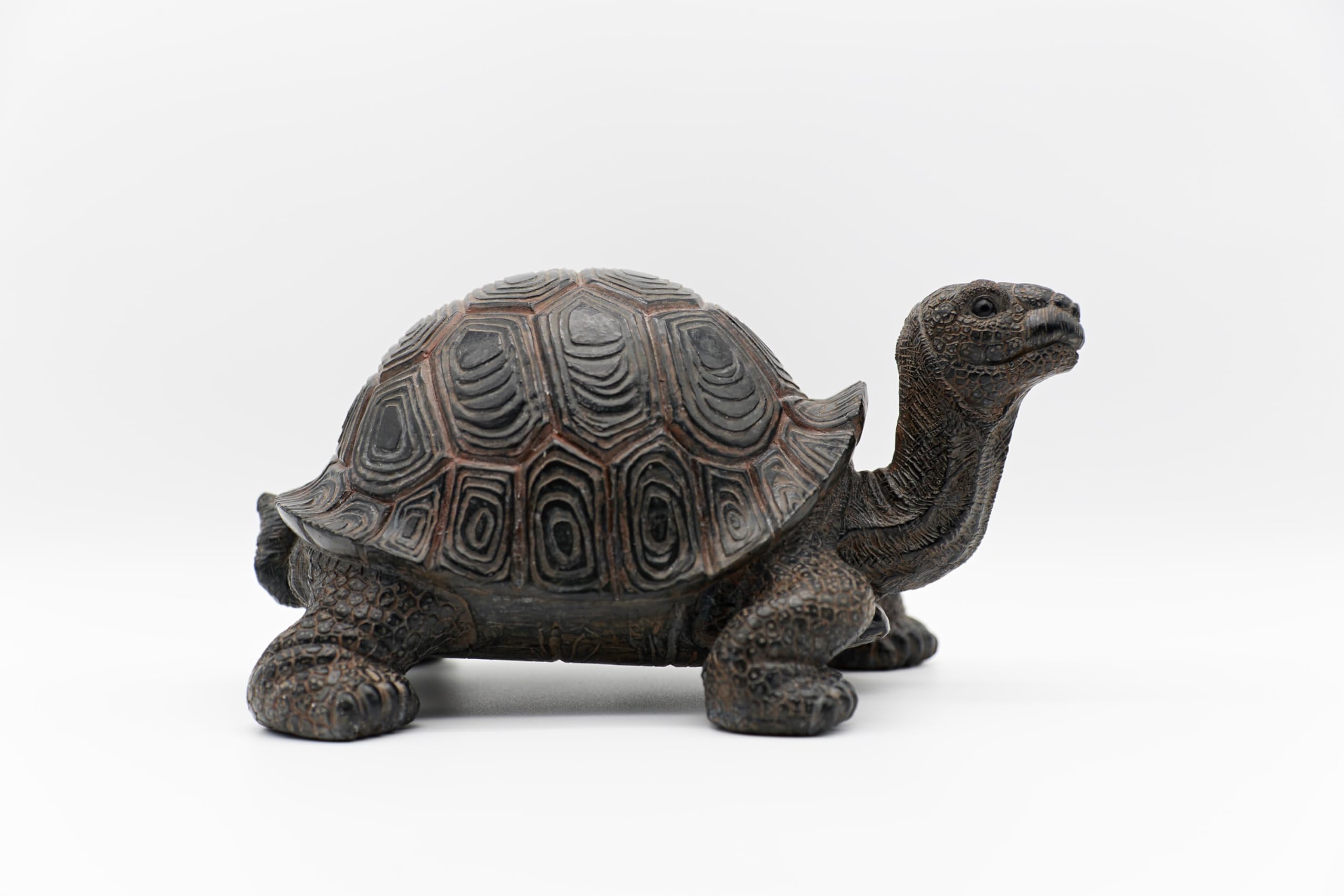 STEINFIGURENWELT GIEBEN Design Dekofigur Schildkröte XXL 24x48cm aus Poly Wohnzimmer Tierfigur Garten Deko Modern Gartendeko Gartenfigur (Schildkröte XXL)