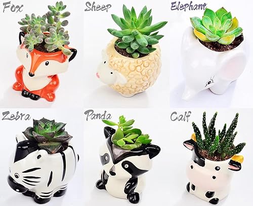 Miniatura 3 de Melphoe 6 soportes para plantas de aire en forma de dibujos animados, maceta pequeña para suculentas, maceta de cerámica, drenaje para mini, cactus,