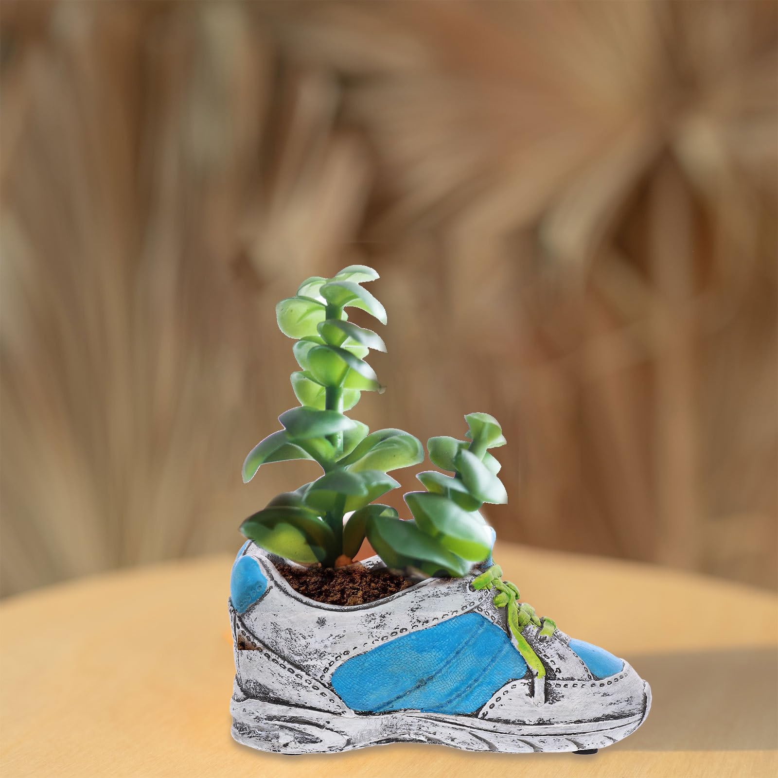3 Pezzi Vaso per Piante Grasse a Forma di Scarpa, Ceramico Creativo