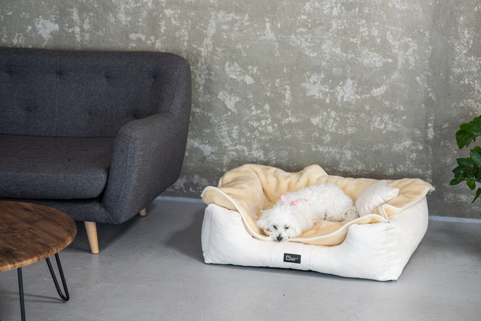 Hundedecke Waschbar Wasserdicht Katzendecke Grosse Mittelgroße Kleine Hunde Katze - Kuscheldecke Decke aus Kunstfell Fellimitat Kunstpelz - Doppelseitig Weich Warm (Hellbeige, 150x100cm)