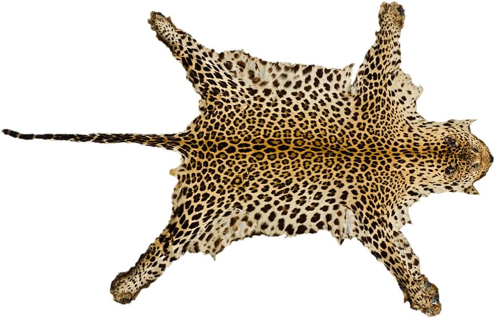 Alfombra Sintetica Imitación Leopardo 220x160cm | Ideal para Decoración de Habitaciones | Alfombra o Moqueta Fabricada en Suelo PVC Sintasol | Alfombra Original | Una opción Muy Decorativa