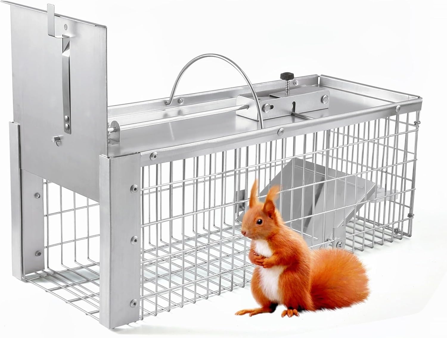 Live Animal Cage Trap, Durable Humane Animal Trap for Squirrels, Weasels, Chipmunks, and Small Animals, Easy Catch & Release (1 Trap)