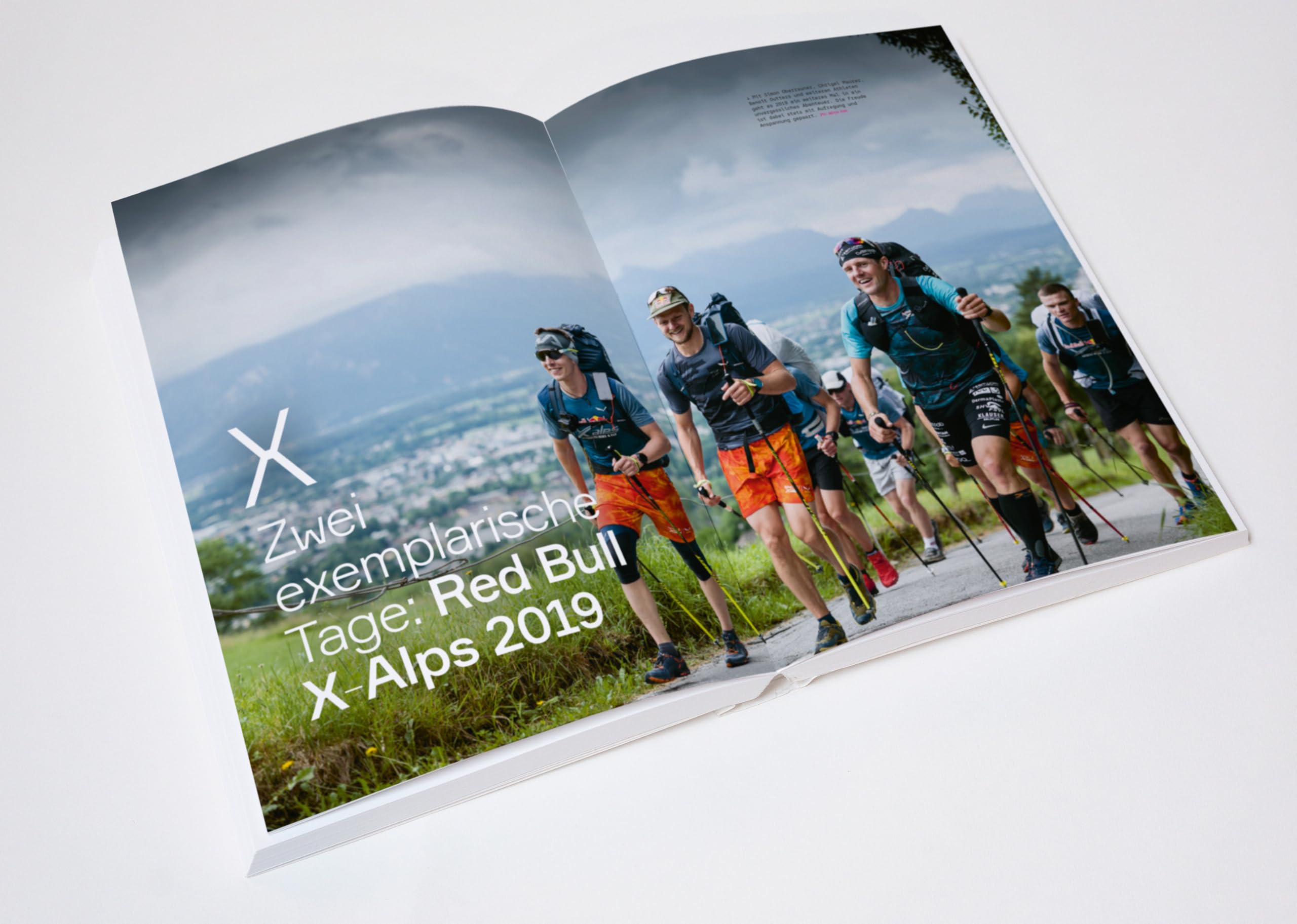 Paragleiten: The Wanderbird Strategy: Mindset, Grundlagen und Techniken von Hike & Fly