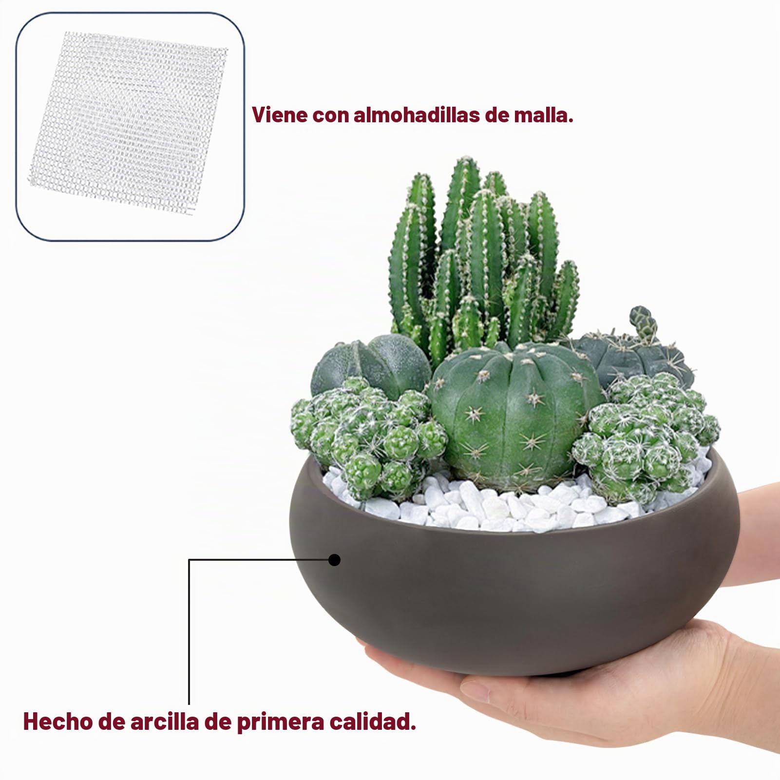 Tarro Bonsai redondo de cerámica sin esmaltar 20,3 cm + pantalla de drenaje