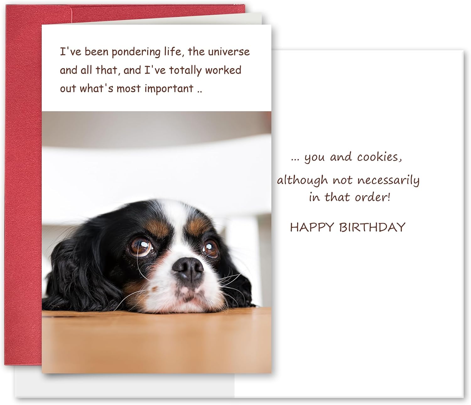 Funny Dog Birthday Card, Humorous Birthday Gift Idea for Dog Lovers, Happy Birthday Card from Doggy