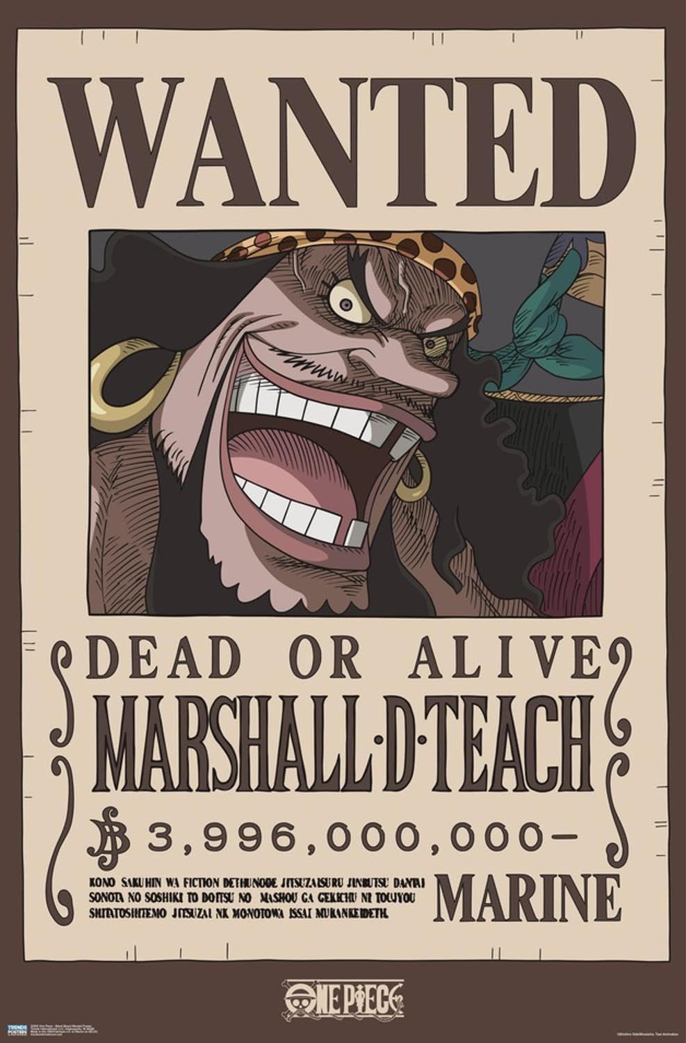 Amazon.com: Trends International One Piece - Black Beard Wanted