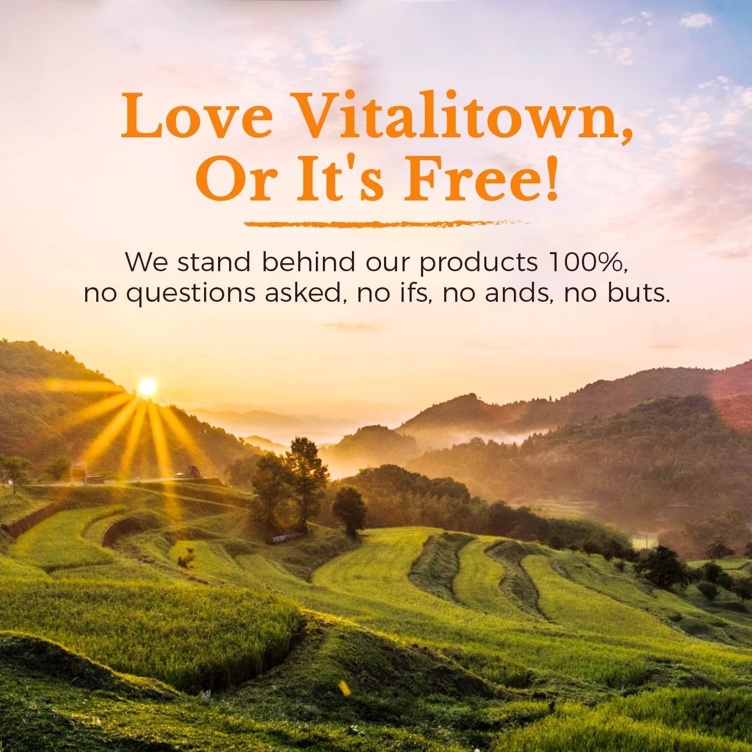 Vitalitown Vitamin C Complex 1000mg with Rose HIPS, Bioflavonoids, Turmeric & Echinacea, Daily Immune Support, Collagen Booster & Powerful Antioxidant, Vegan, 90 Tablets — Amazon image 9