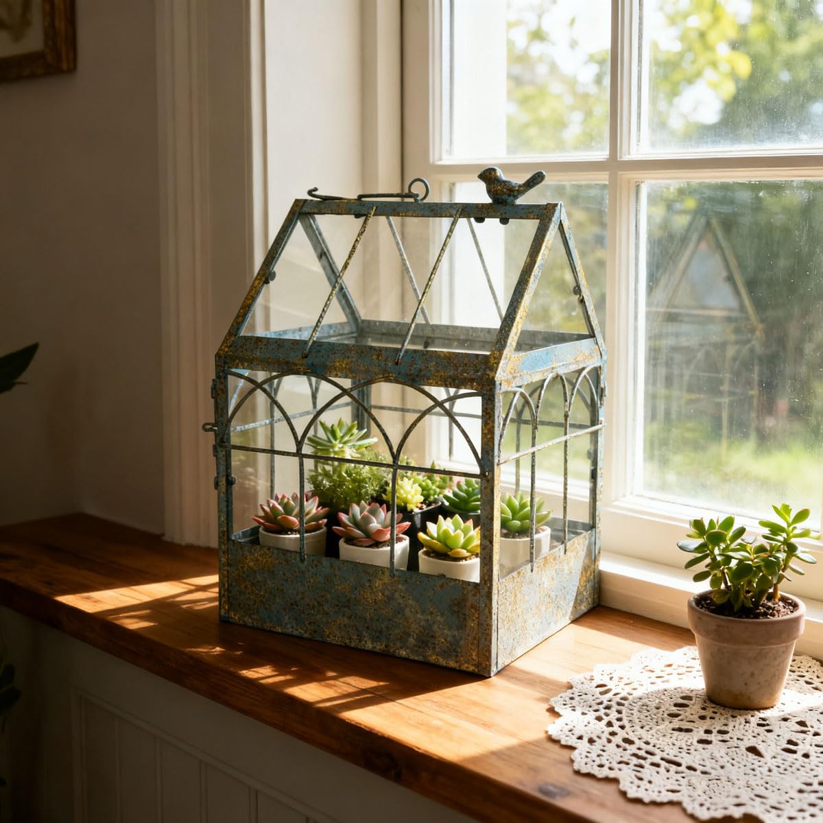 Invernadero vintage de cristal envejecido para colgar plantas grandes con tapa, maceta de mesa para interiores, caja de exhibición para orquídeas, suculentas, helechos, musgo, cactus, ventana, jardín