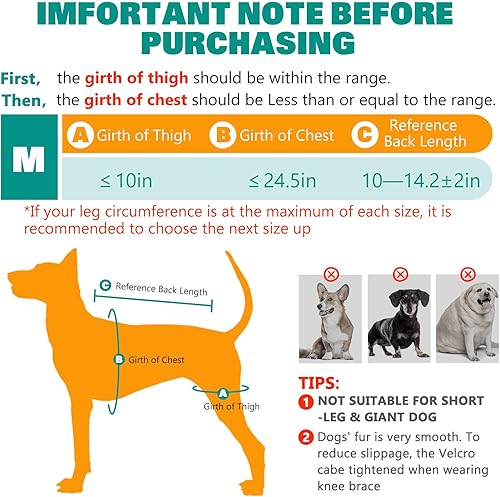 Miniatura 5 de Rodillera de doble pierna para perro para recuperación de desgarros del ligamento cruzado anterior, soporte ortopédico ajustable para estabilidad de